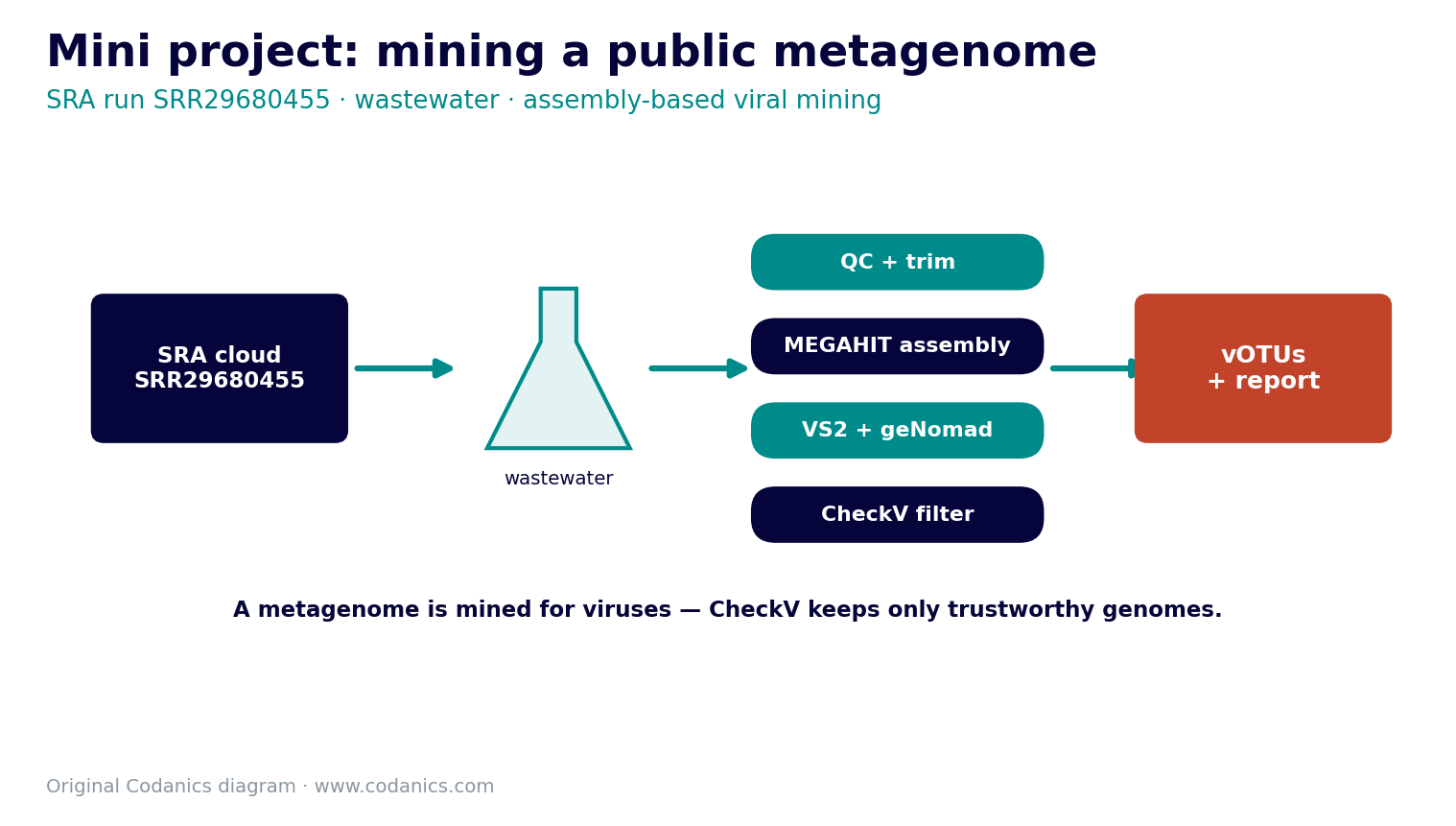 End-to-end wastewater viral mining workflow from SRA download to final virome report