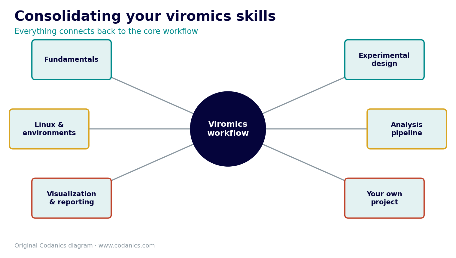Skills consolidation map across the viromics workflow