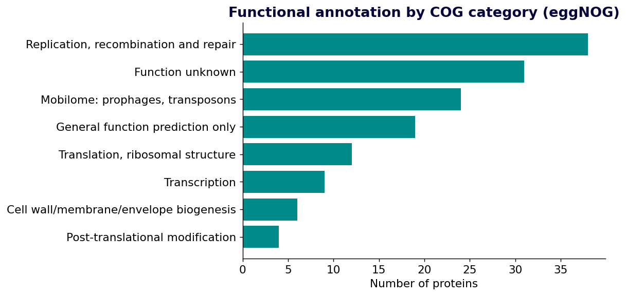 Horizontal bar chart of protein counts per COG functional category
