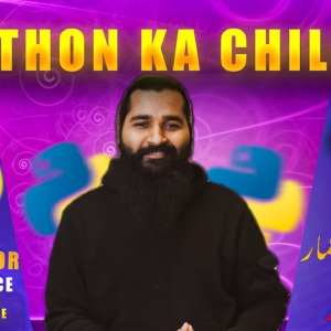 Python ka chilla 40 days of python for Data Science